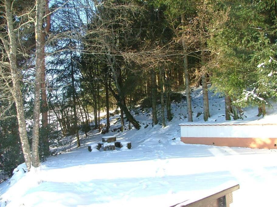 Maison D'Altitude Avec Vue Panoramique A Gérardmer Exteriör bild