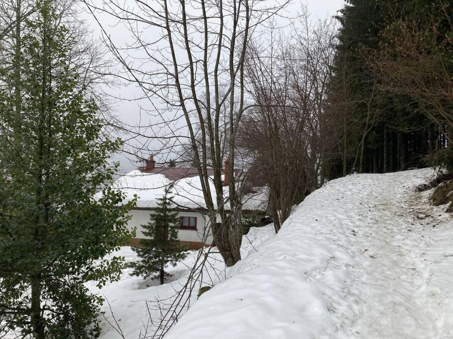 Maison D'Altitude Avec Vue Panoramique A Gérardmer Exteriör bild