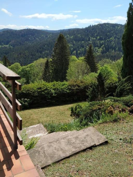 Maison D'Altitude Avec Vue Panoramique A Gérardmer Exteriör bild